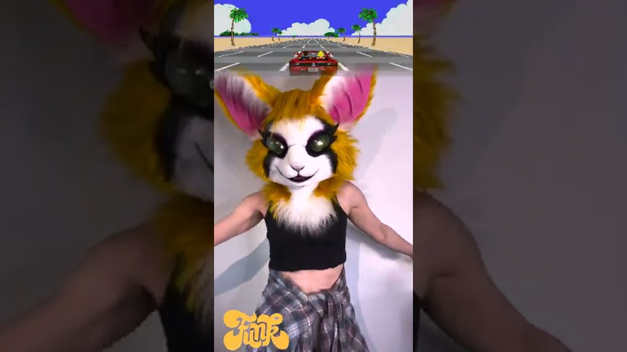 HOW FIDGET DANCES TO DIFFERENT MUSIC Nimbat On The Loose 