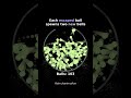 #asmr #satisfying #satisfyingvideo #bouncingball #viral #coding