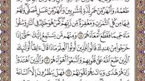 القرآن الكريم صفحة 508