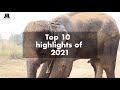 Wildlife SOS Highlights of 2021