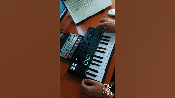 Trans-X - Living On Video (Live Loop Cover) | Minilab 3 #ableton #volcabass #korg