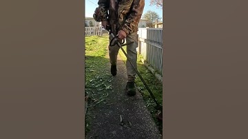 overgrown lawn edging😎👌😁 #youtubeshorts #lawncare #lawnmowing #gopro #diy