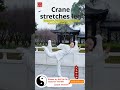 The most #OnlineTaiChiClassesForSeniors #TaoistStudiesOnline #TaiChiExercisesForSeniors7Basic