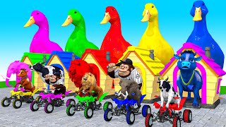 5 Giant Duck, Monkey, Piglet, Chicken, dog, dinosaur, Sheep, Transfiguration funny animal 2023