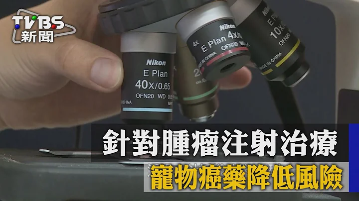 针对肿瘤注射治疗　宠物癌药降低风险 - 天天要闻