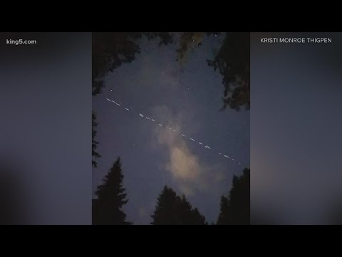 SpaceX Starlink satellites spotted over western Washington