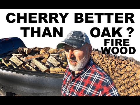 Is Cherry better than Oak for Firewood?