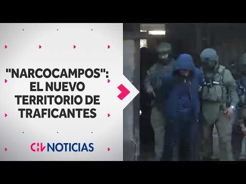 22 arrested in massive raid in Curacavi