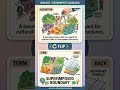 Why Lines on a Map Matter: Types of Borders &amp; Border Conflicts | Borders Explained in 50 Seconds