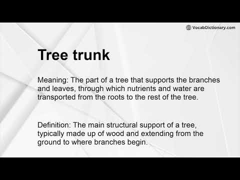 Tree trunk Meaning