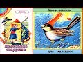 МАЛЕНЬКАЯ СТАРУШКА (Персидская сказка) - читает бабушка Лида