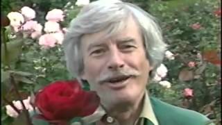 Video thumbnail of "Jean Ferrat   L'Amour est Cerise"