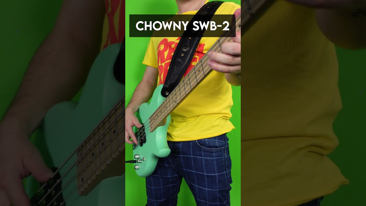 All My Basses In One Video Bass Bassguitar