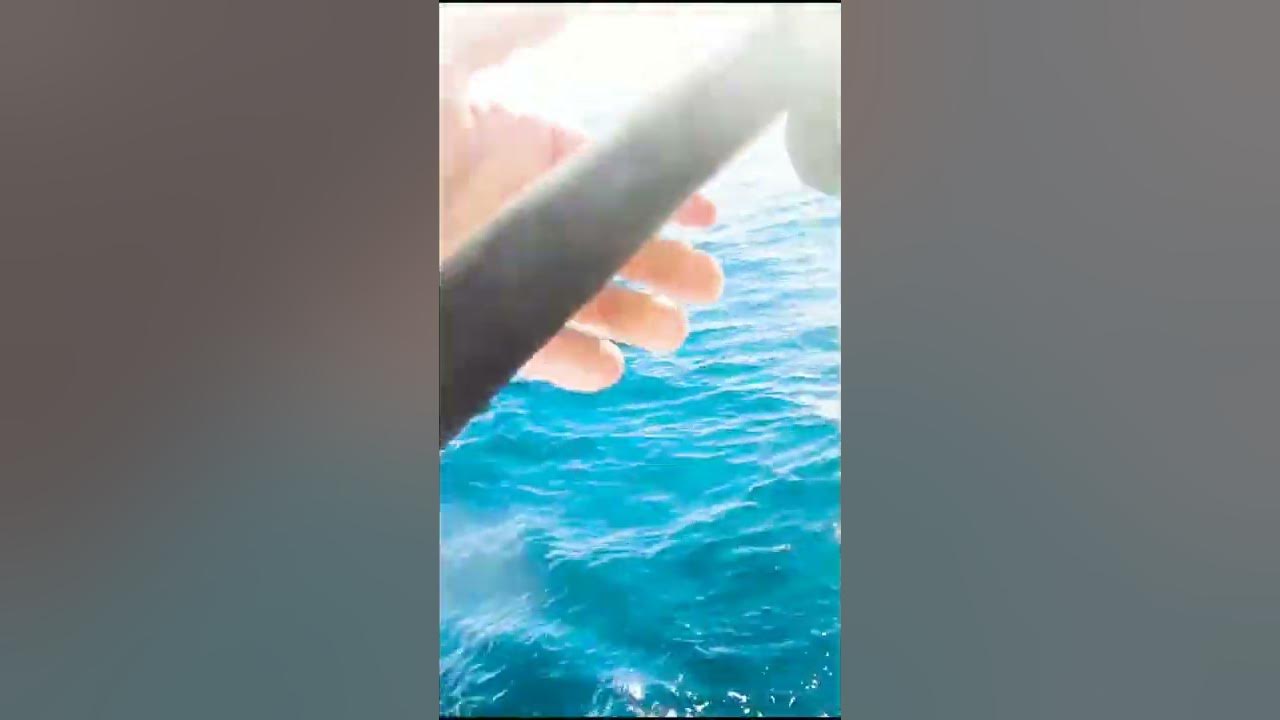 you-can-tell-i-love-catching-rockfish-youtube