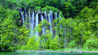 Alam air terjun yang indah dengan music piano dan suara burung relaxing