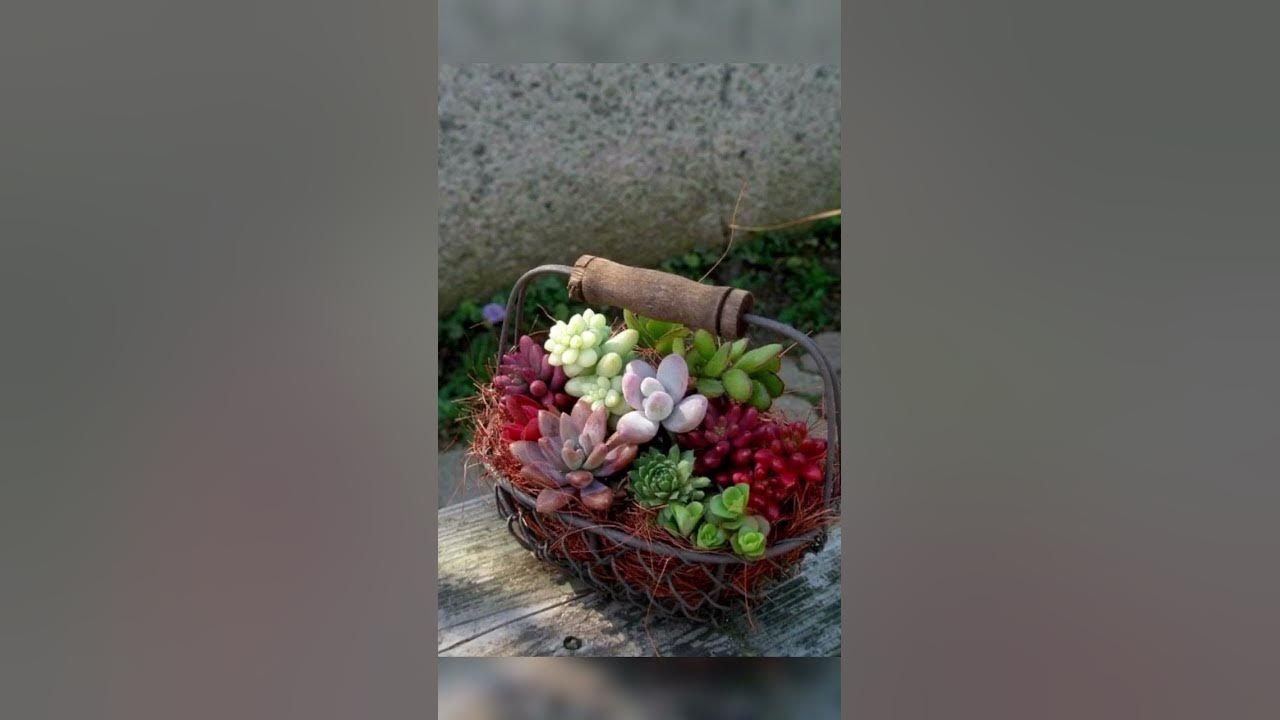 simple-ideas-for-garden-youtube