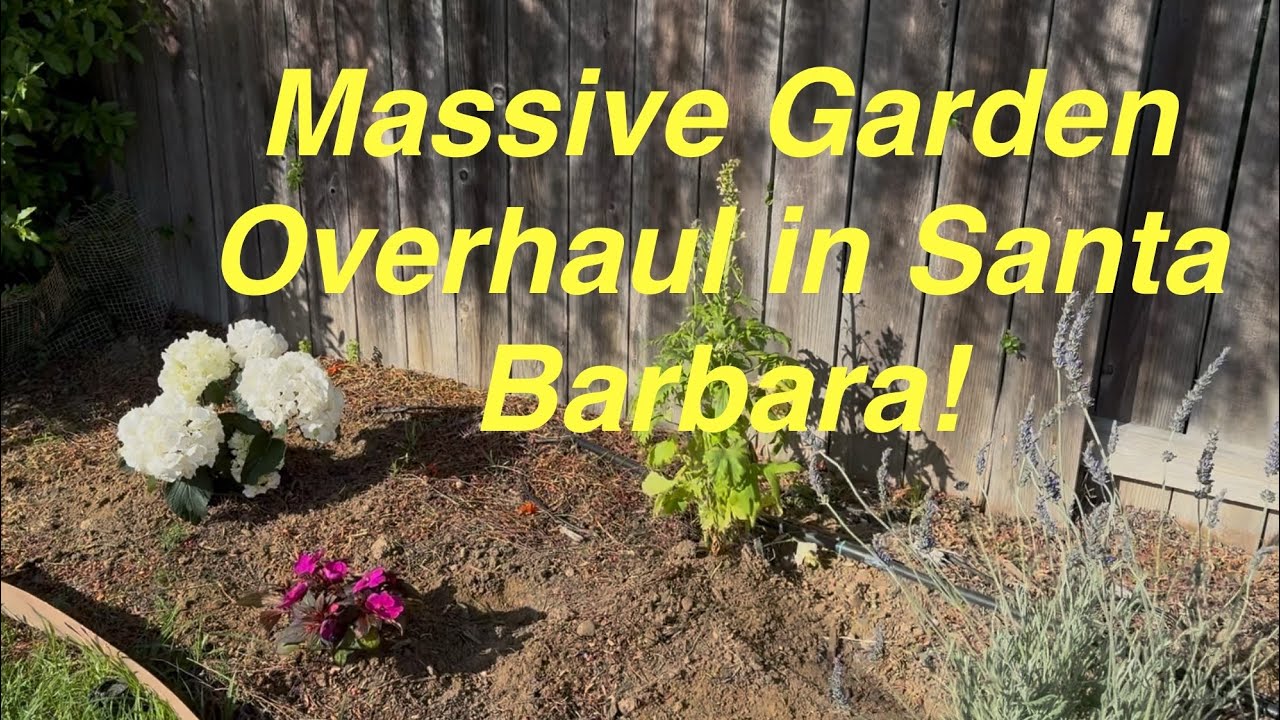 Complete Garden Build for a Friend in Santa Barbara to Surprise his Fiancée for her Birthday