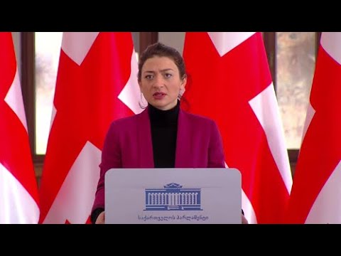 ნაცმოძრაობა და :ქართული ოცნება\" არის ერთი ჯოხის ორი ბოლო - ბოკუჩავა