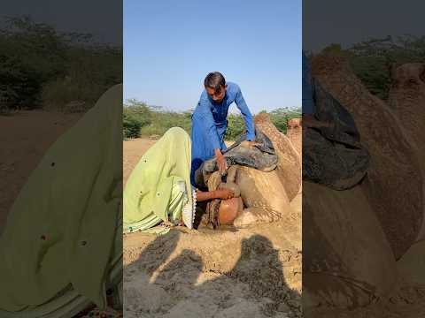 طریقۃ بسیطۃ ولکن فع الۃ لحمایۃ الج مال م ن الحر   