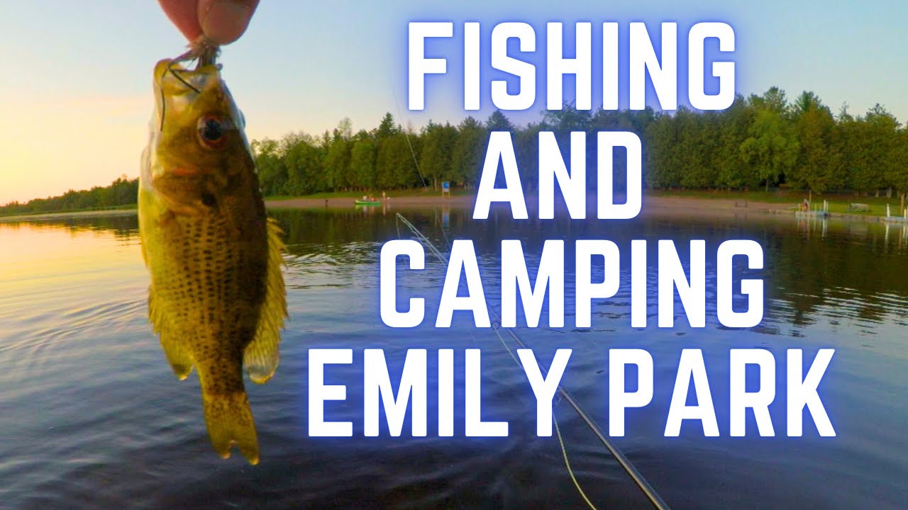 Family Friendly Fishing and Camping at Emily Provincial Park