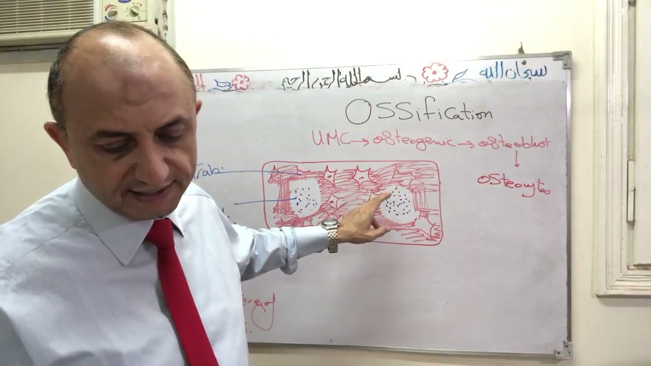 Bone ossification part1 j