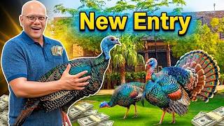 Aakhir Kaar Mil Gaye! 🎉 Most Expensive Rare Turkey Birds 🦃 | BT Farm Stories