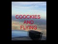 SOLO FLYING a Cessna 172 Almost eat my Mike      #shorts