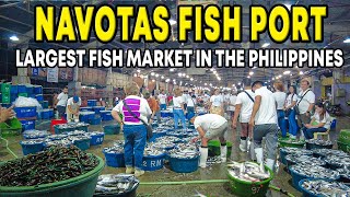 BIGGEST FISH PORT in the PHILIPPINES | NAVOTAS | 4K |