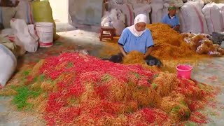 Kepoin Proses Pembuatan Karet Gelang Ragam Indonesia 071021