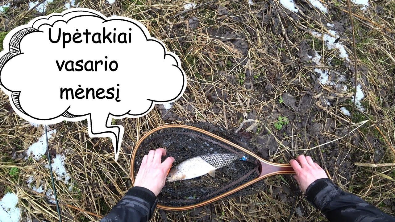 Smagi upėtakių žvejyba vasario mėnesį