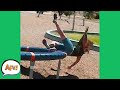 From playground to failground   funny fails  afv 2020