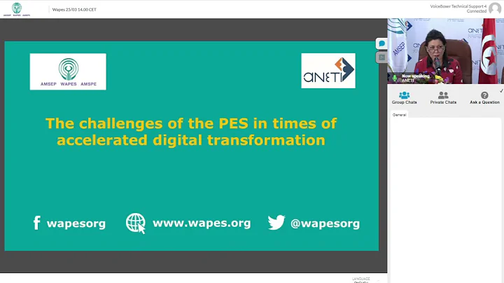 The challenges of the PES in times of accelerated digital transformation (WAPES 25/03/2021)