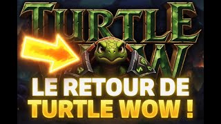Turtle wow GO MC !