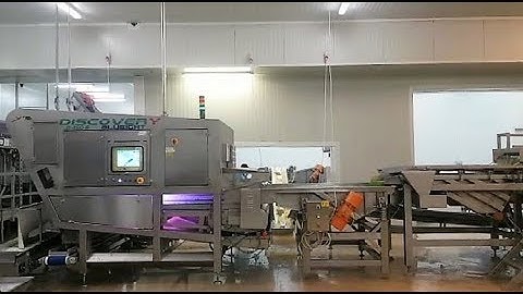 Discovery optical sorting machine for peas | RAYTEC VISION SpA