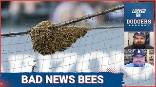 Los Angeles Dodgers Delayed By Bees, Done In By Cold Bats + Chris Taylor Options?