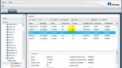 NetApp System Manager 2.0