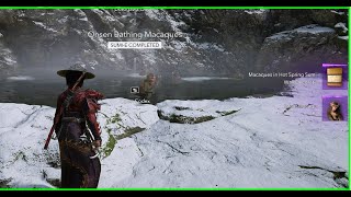 Snow Monkeys Bathing in Hot Springs | Assassin's Creed Shadows