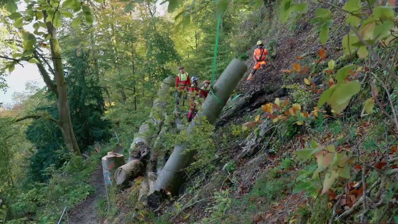 Forst Hochleitner Projektfilm Marienschlucht