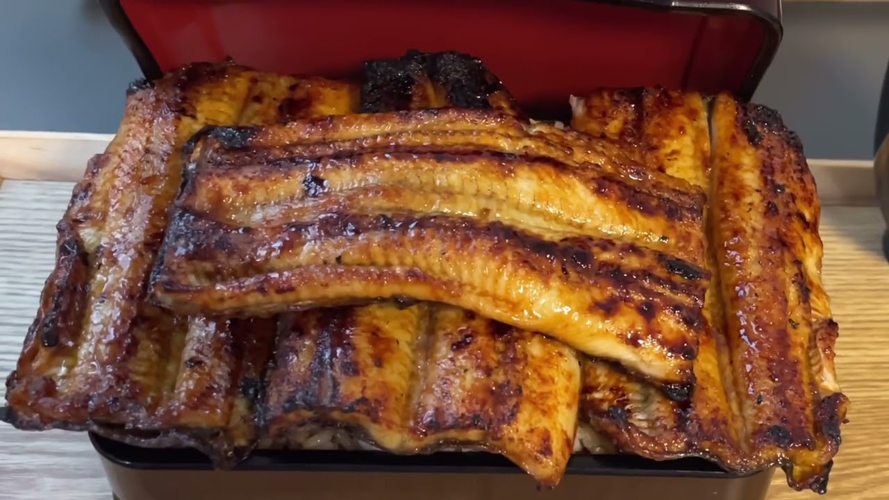 おッ！これが“マウンテンうな重”関西風うなぎ料理『躻（うつけ）』#東京グルメ #東京 #うな重 #うなぎ #鰻#tokyo #unagi