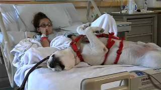 Service Dog Eases Patient's Anxiety