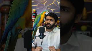 Just trying to use YouTube AI features #ammarkhalidbhutta