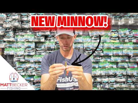 HAVE YOU SEEN this NEW MINNOW?