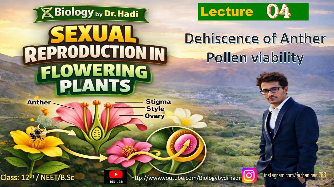 Anther Dehiscence || pollen viability || pollen development