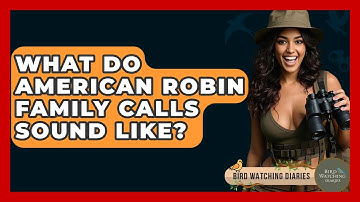 What Do American Robin Family Calls Sound Like? - Bird Watching Diaries