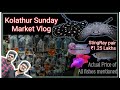 Kolathur SundayMarket Vlog-Exact Price of Colour Fishes-EshwarGandhi-Ft.SomethingFishy