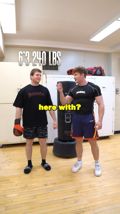 how-hard-can-mma-fighters-punch-youtube