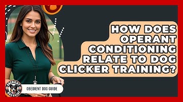 How Does Operant Conditioning Relate To Dog Clicker Training? - Obedient Dog Guide