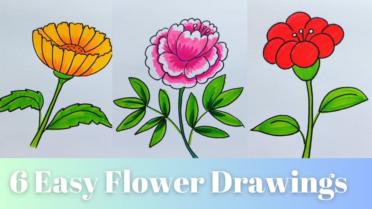 How to Draw a Simple Flower - Step-by-Step Tutorial