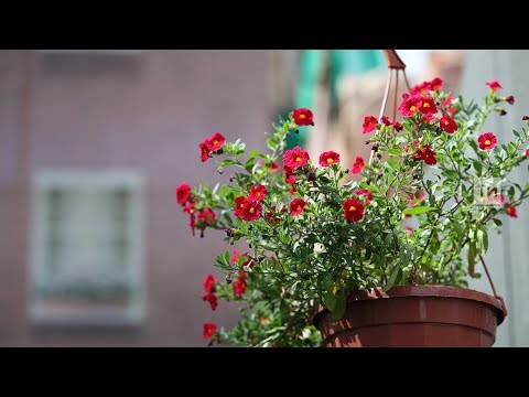 Пресс-конференция о Всероссийском фестивале энергосбережения «Вместе Ярче»