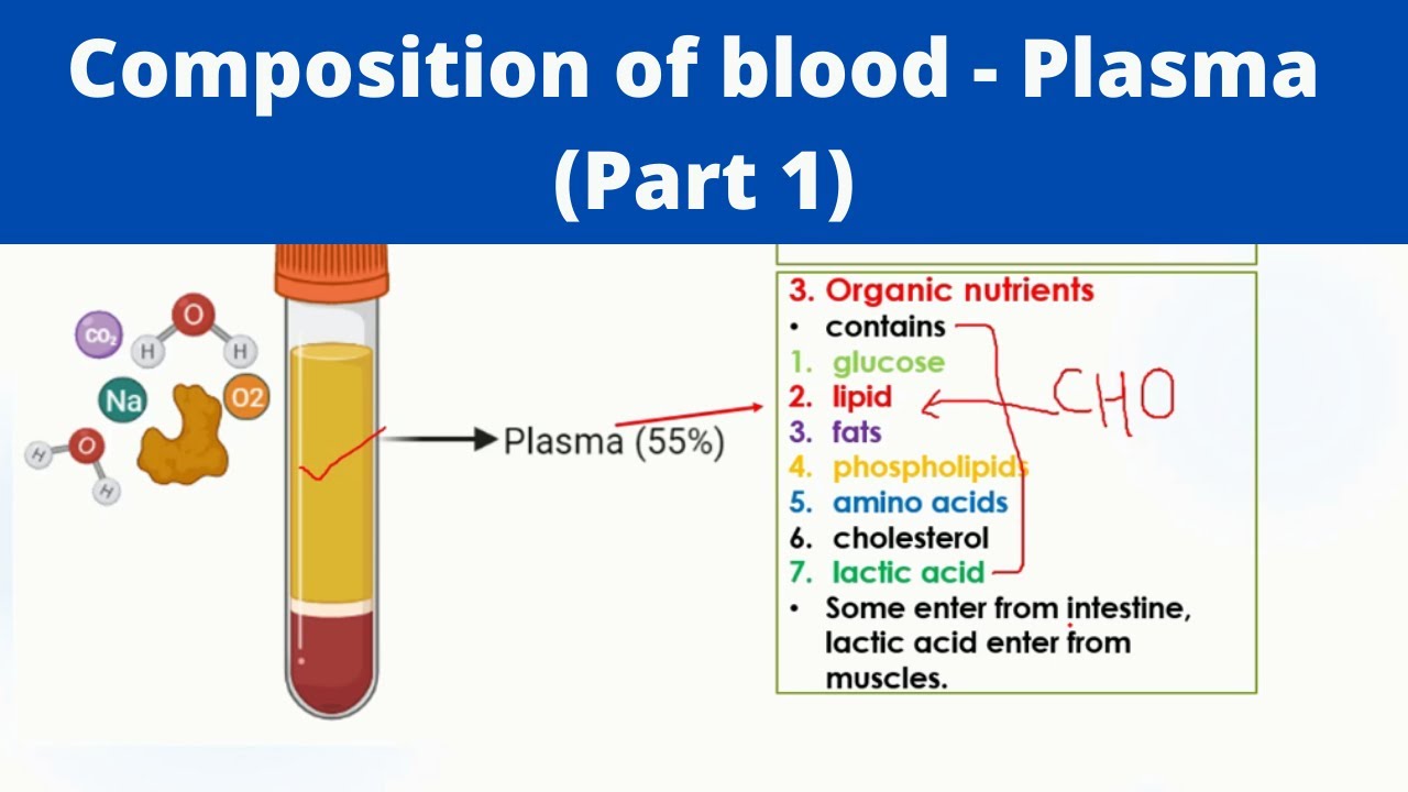 short essay on blood plasma